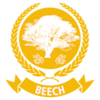 Beech