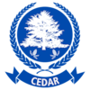 Cedar