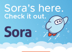 Has your child logged in to SORA?